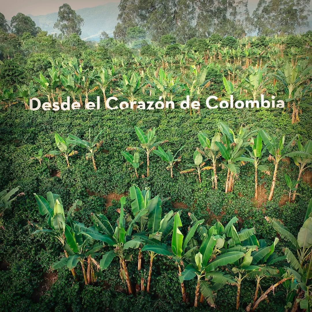 Café colombiano de origen Quindío